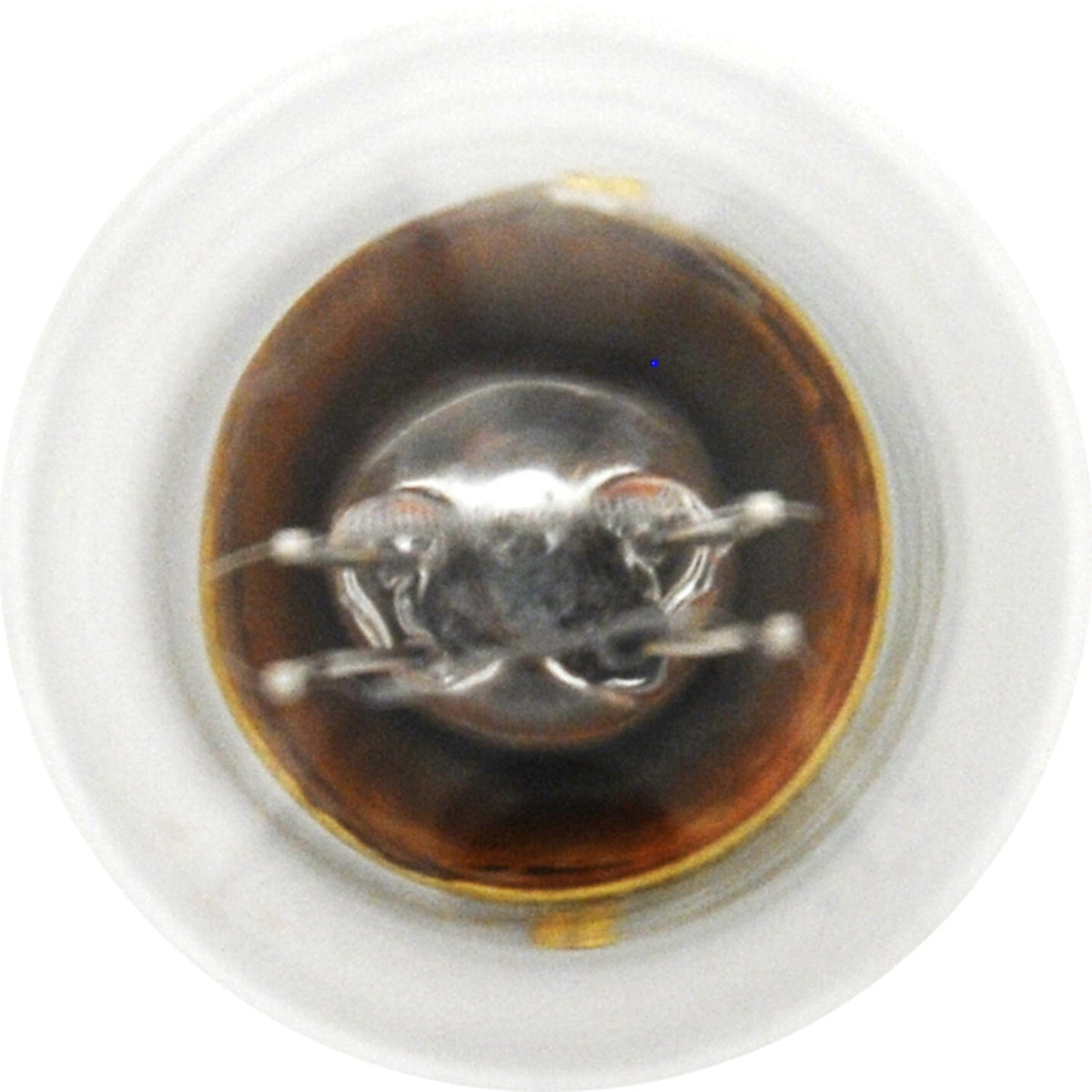 10-PK SYLVANIA 1034 Standard Automotive Light Bulb