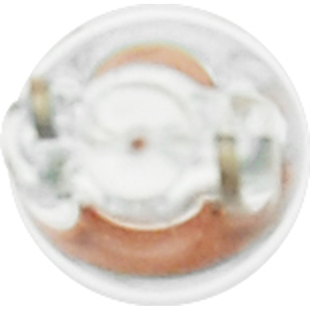 10-PK SYLVANIA 73 Standard Automotive Light Bulb