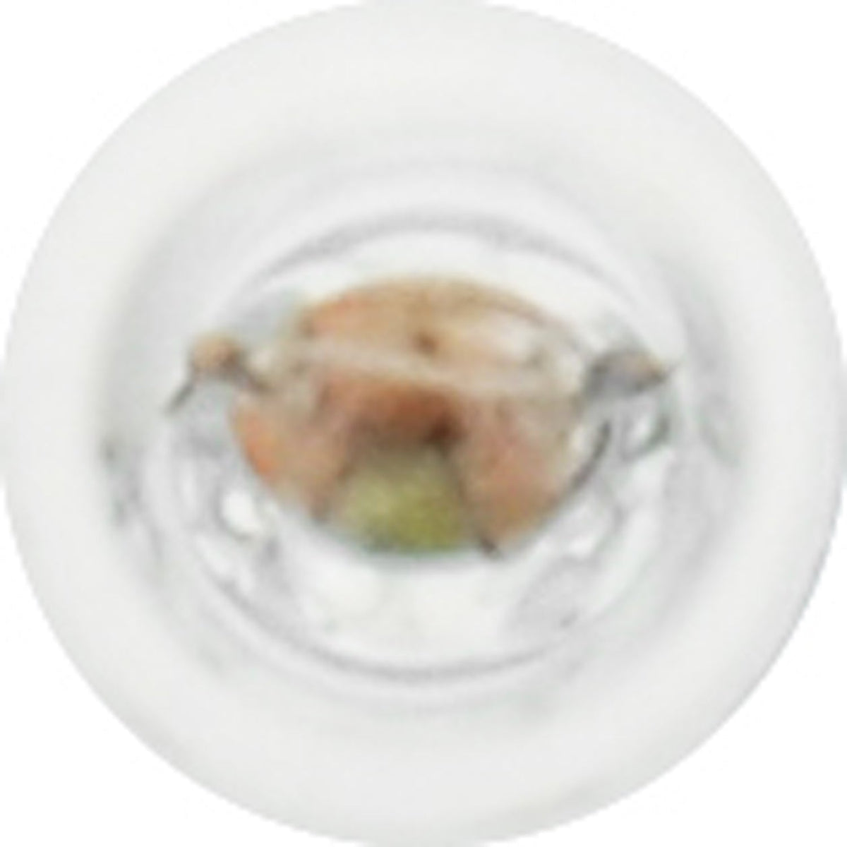 10-PK SYLVANIA 73 Standard Automotive Light Bulb
