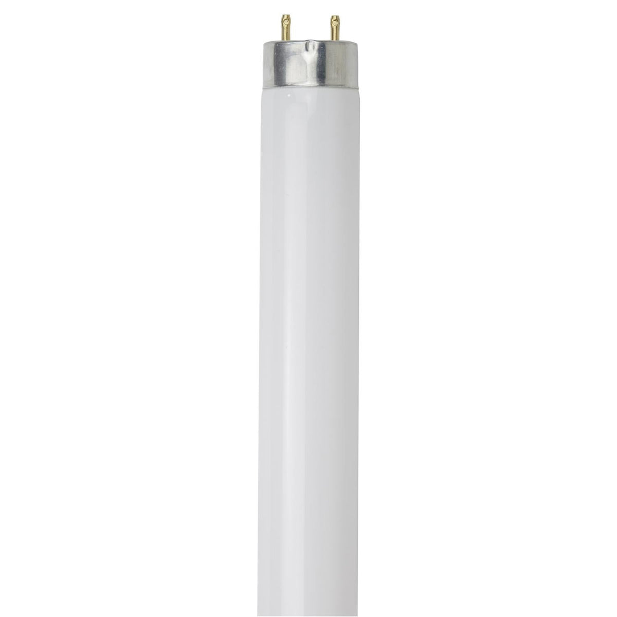 30PK - SUNLITE 25w T8 36inch 6500K High Performance G13 Base Fluorescent Tube