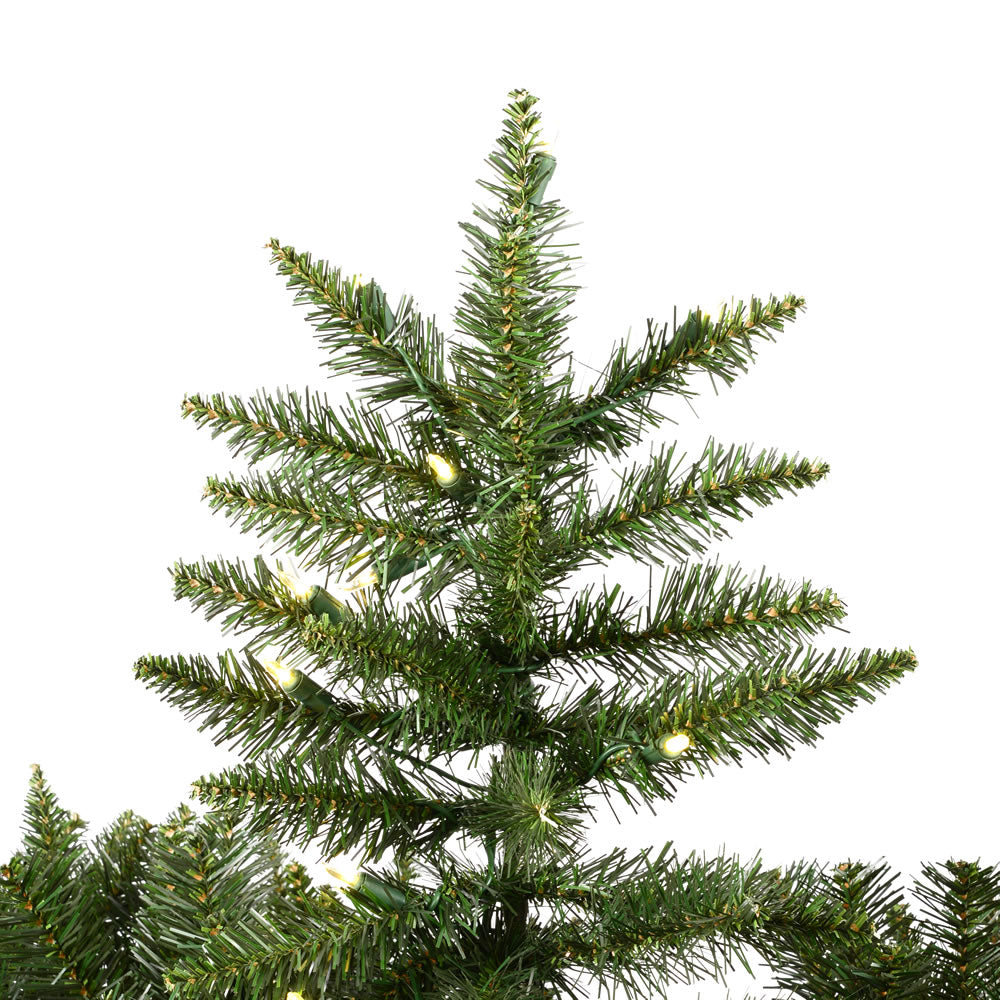Vickerman 5.5ft. Camdon Fir Artificial Christmas Tree Warm White LED Lights