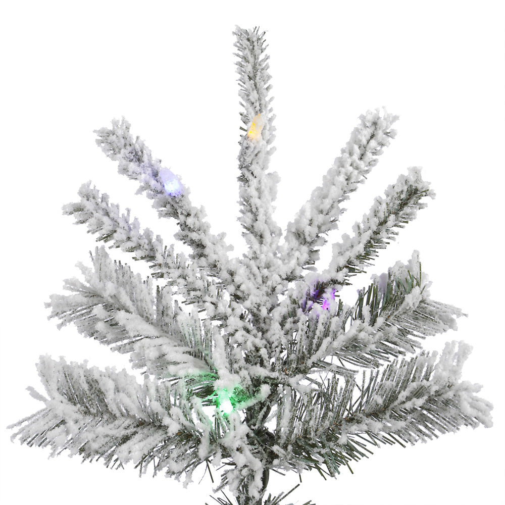 Vickerman 8.5ft. Sierra Fir Artificial Christmas Tree Multi-Colored LED lights