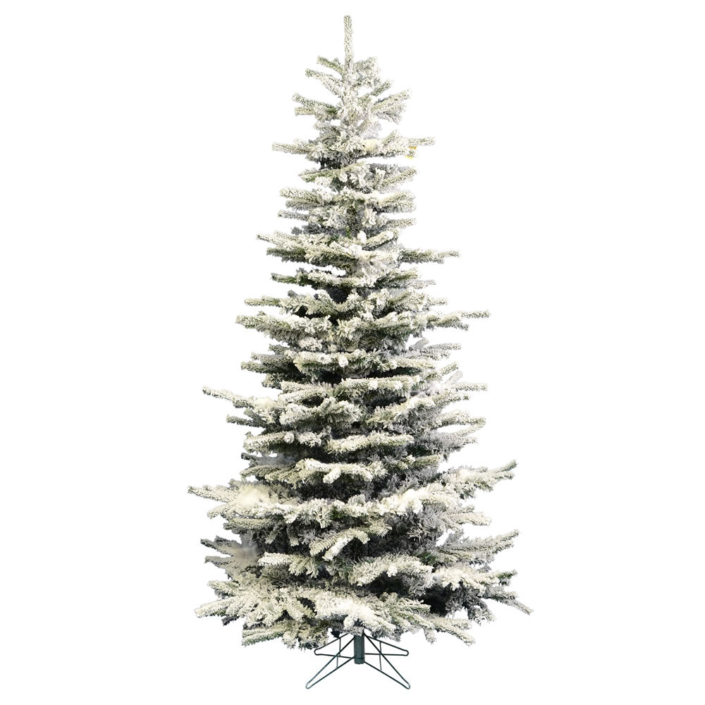 Vickerman 8.5ft. Flocked Sierra Fir Slim Artificial Christmas Tree Unlit