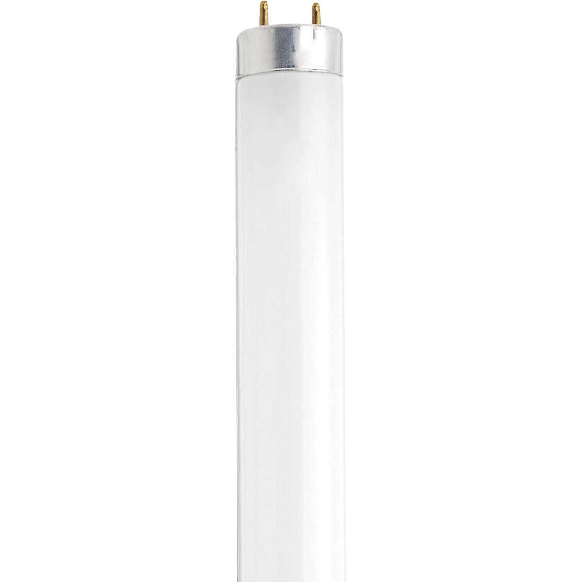 Satco 12-in 13w T8 Fluorescent 4100K 400Lm G13 Bi Pin base Linear Bulb
