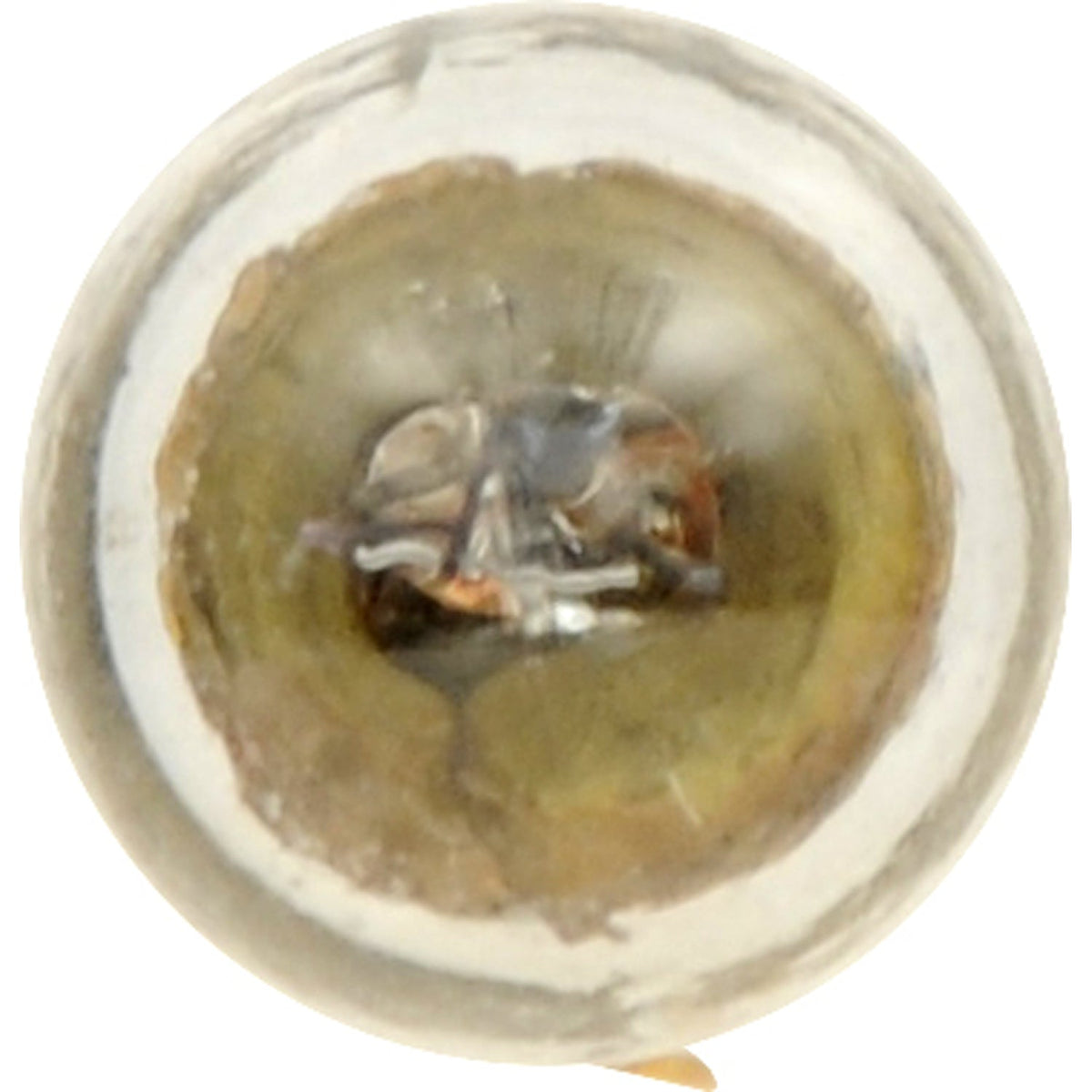 2-PK SYLVANIA 1445 Long Life Automotive Light Bulb