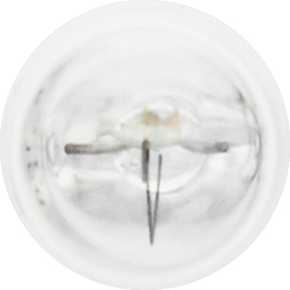 10-PK SYLVANIA 161 Standard Automotive Light Bulb