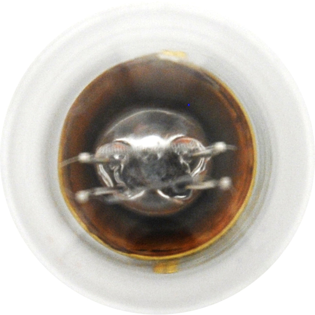 2-PK SYLVANIA 2357 Standard Automotive Light Bulb