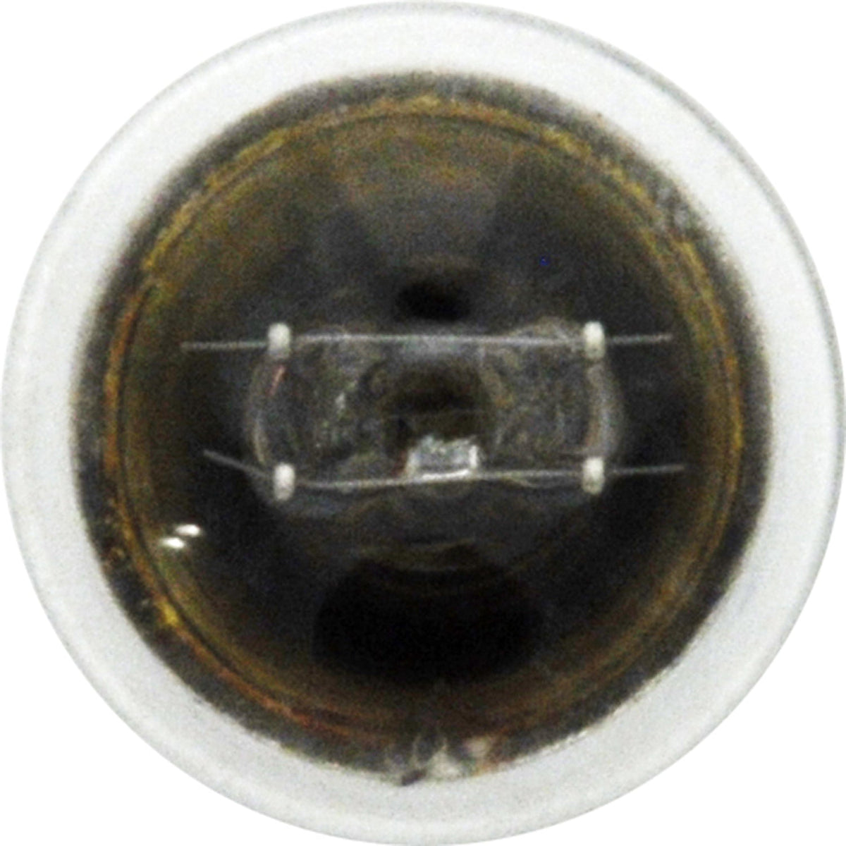 10-PK SYLVANIA 631 Standard Automotive Light Bulb