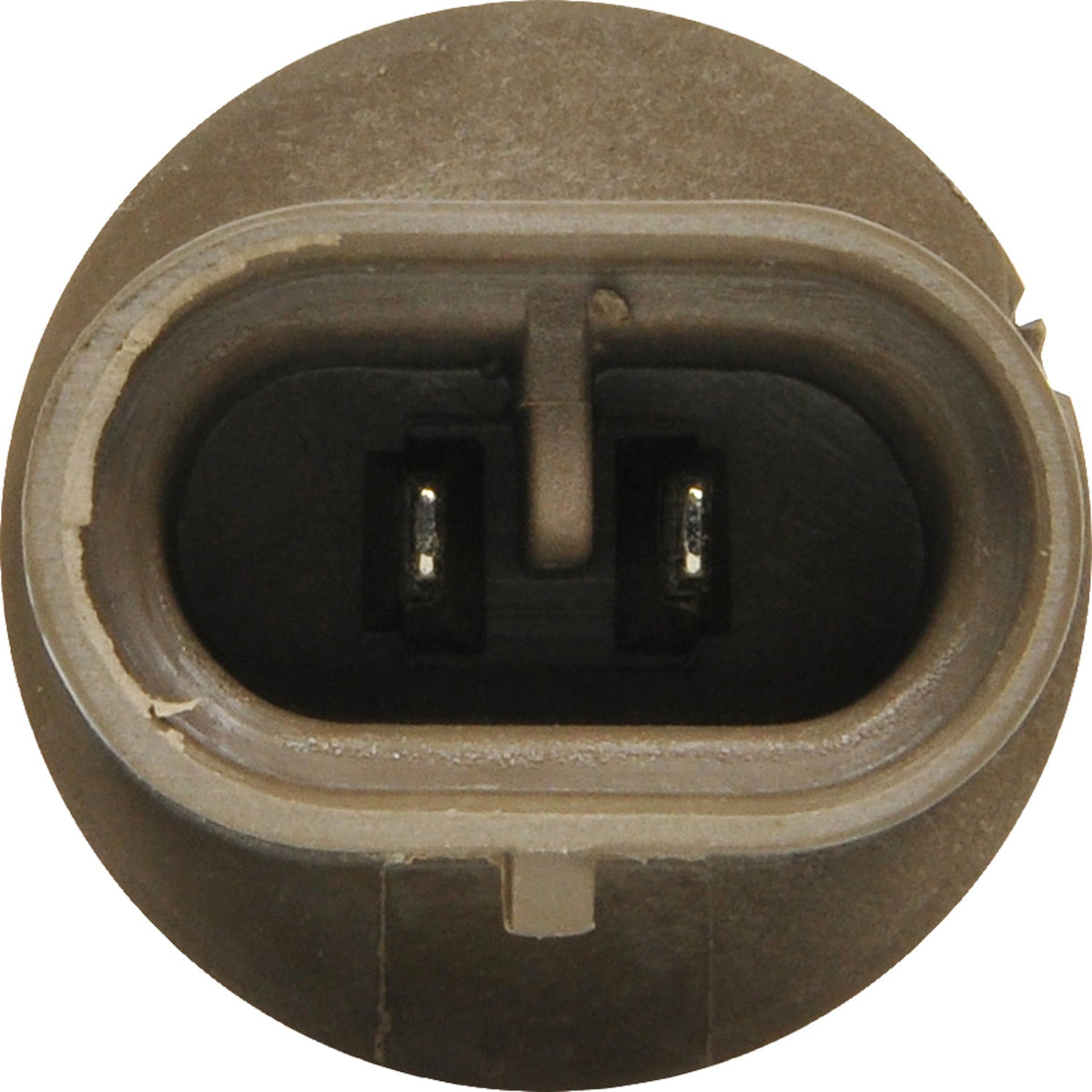 SYLVANIA 880 Standard Fog Automotive Bulb